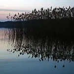Drzewoszewo