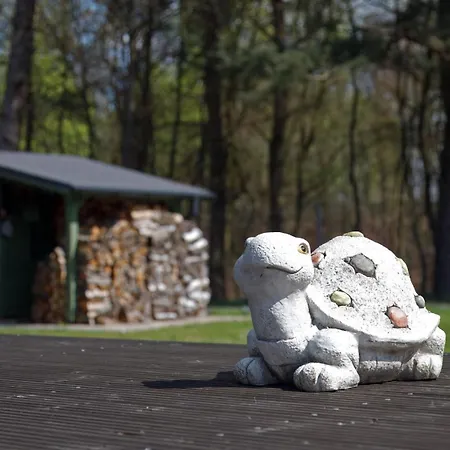 Drzewoszewo * Mirosławiec