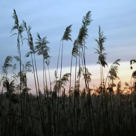 Drzewoszewo Сasa de vacaciones